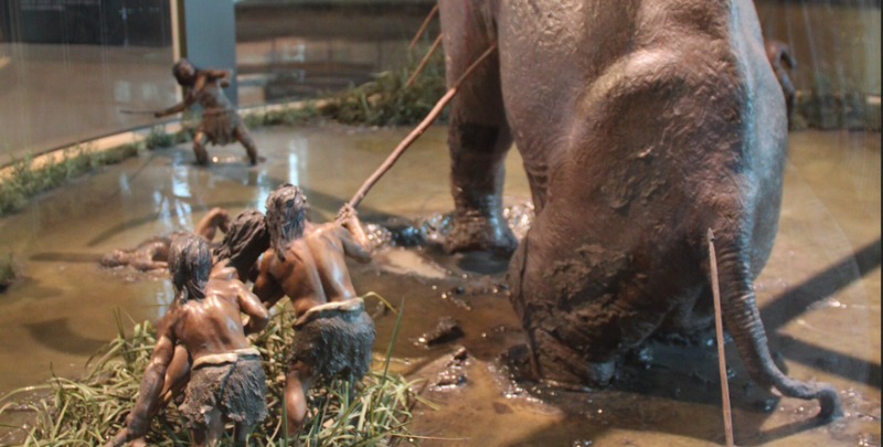 Sternengeschichten Folge 696: Der Komet und das Ende der Clovis-Menschen